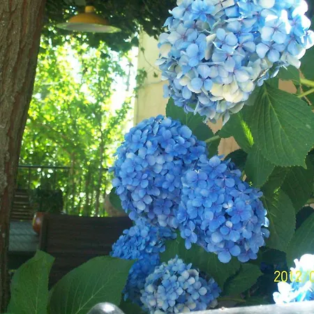 Gospodarstwo wiejskie El Fortin Gata