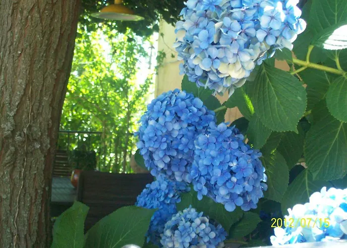 Casa rural El Fortin Gata